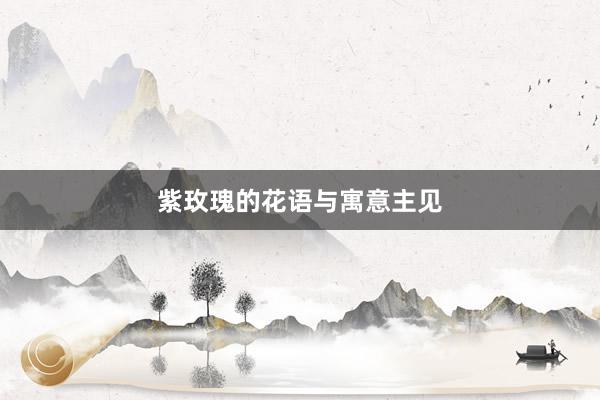 紫玫瑰的花语与寓意主见